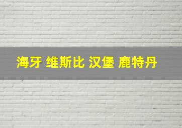 海牙 维斯比 汉堡 鹿特丹